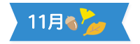 11��